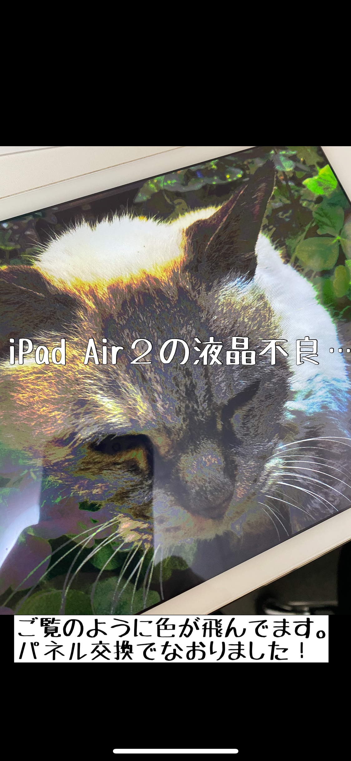 iPad修理　iPadAir2 色が飛ぶ　iPhone修理　犬山市　岩倉市　江南市　アイパッド修理　エア2 画面不良