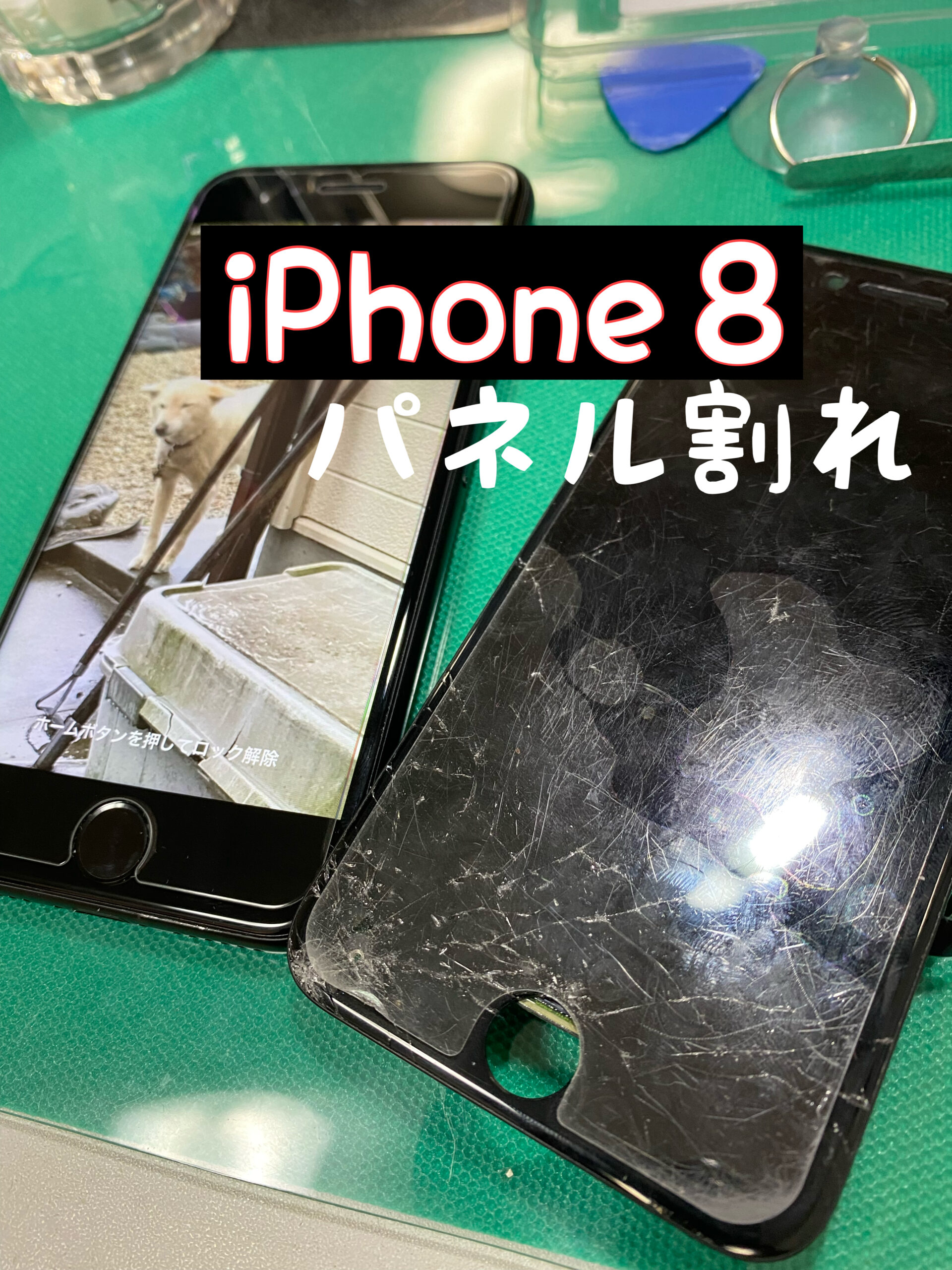 iPhone修理　江南市　犬山市　ドンキ　安い　ドン・キホーテ　扶桑町　大口町　パネル割れ