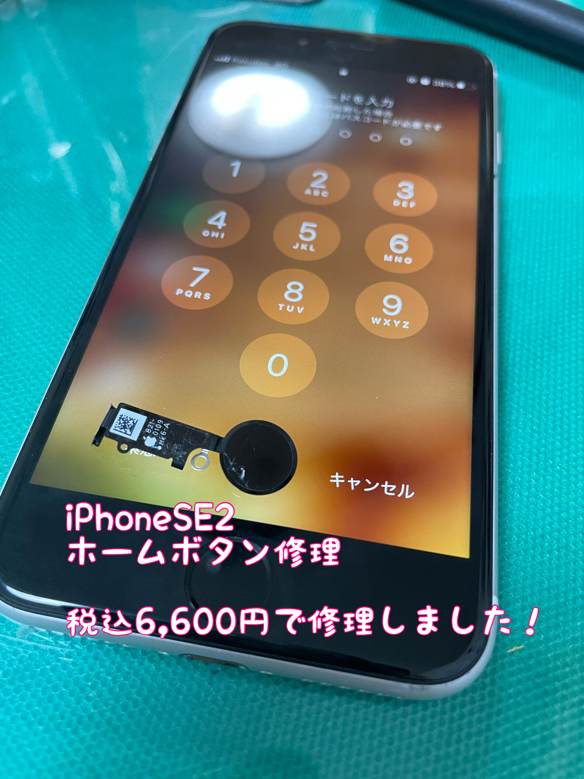 iPhone修理　江南市　安い　格安　ホームボタン修理　iPad修理